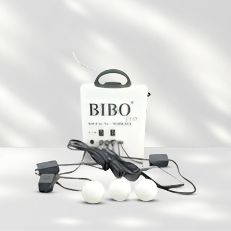 Solar Home Light System Manufacturer in India